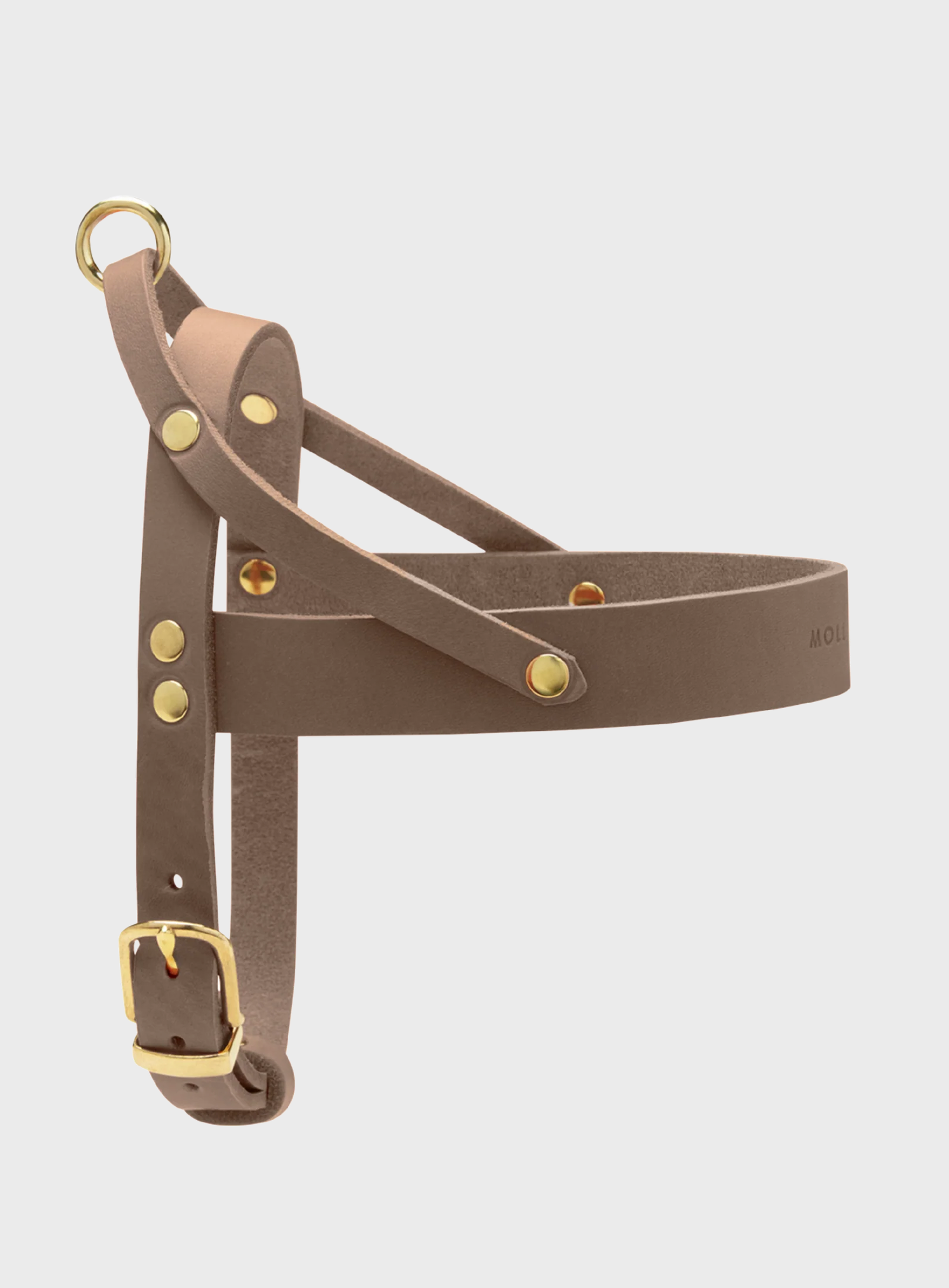 Butter Leather Dog Harness - Taupe