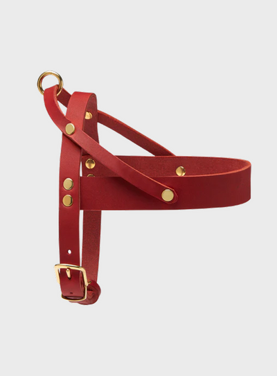 Butter Leather Dog Harness - Chili Red