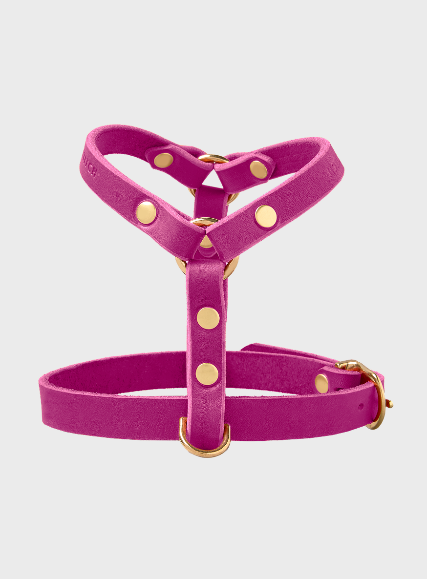 Butter Leather Y Harness - Flamingo