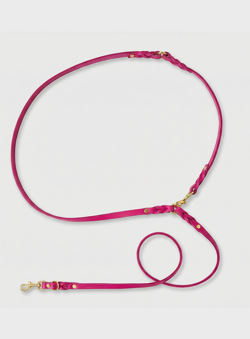 Butter Leather 3x Adjustable Dog Leash - Flamingo