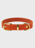 Butter Leather Dog Collar - Mango