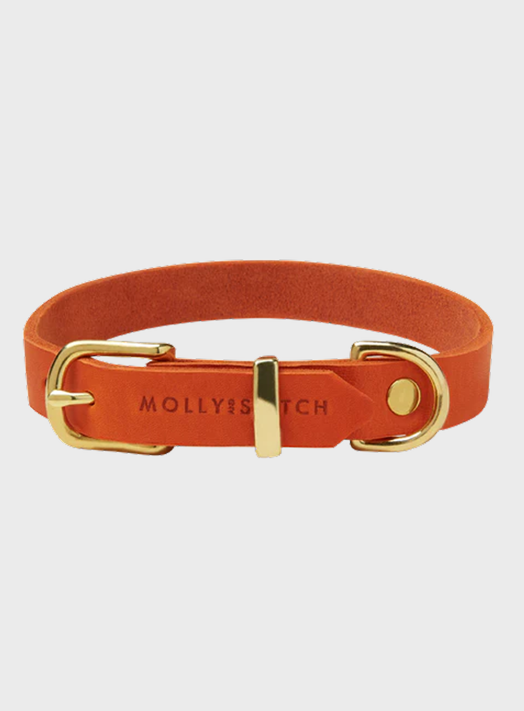 Butter Leather Dog Collar - Mango