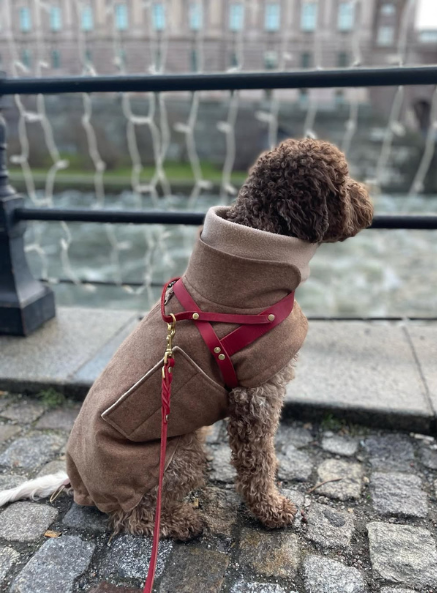 Butter Leather Dog Harness - Chili Red