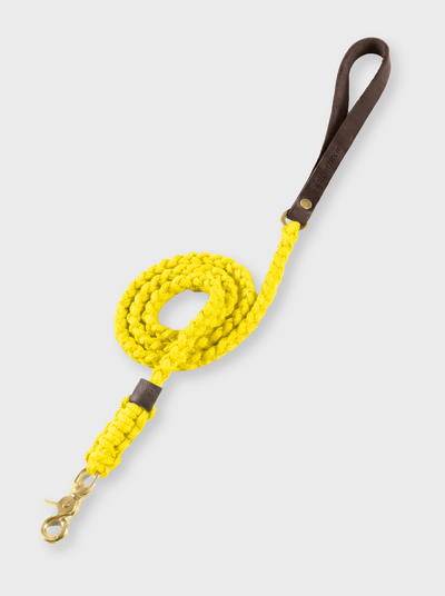 Touch of Leather Dog Leash - Mediterranean Sun