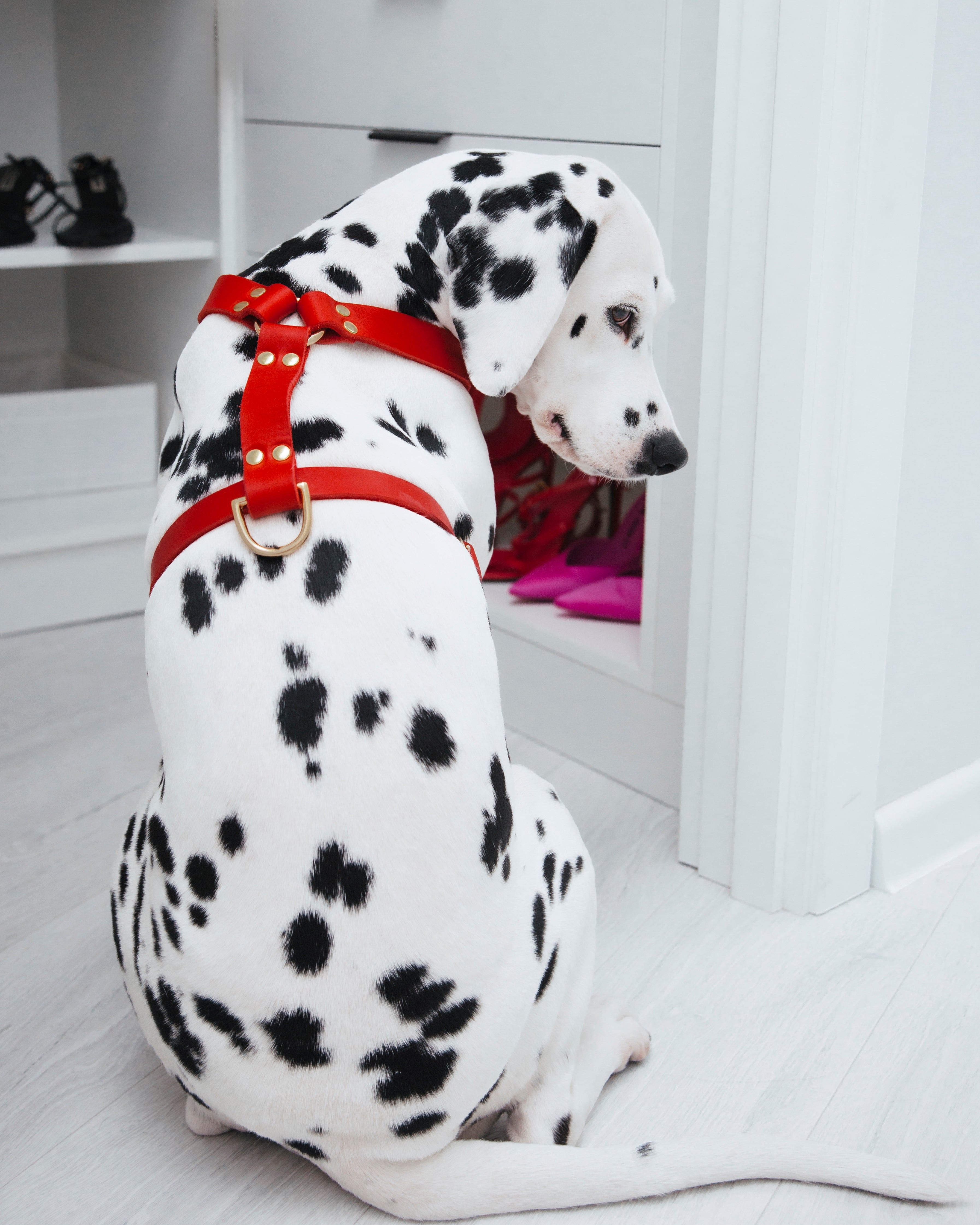 Butter Leather Y Harness - Chili Red