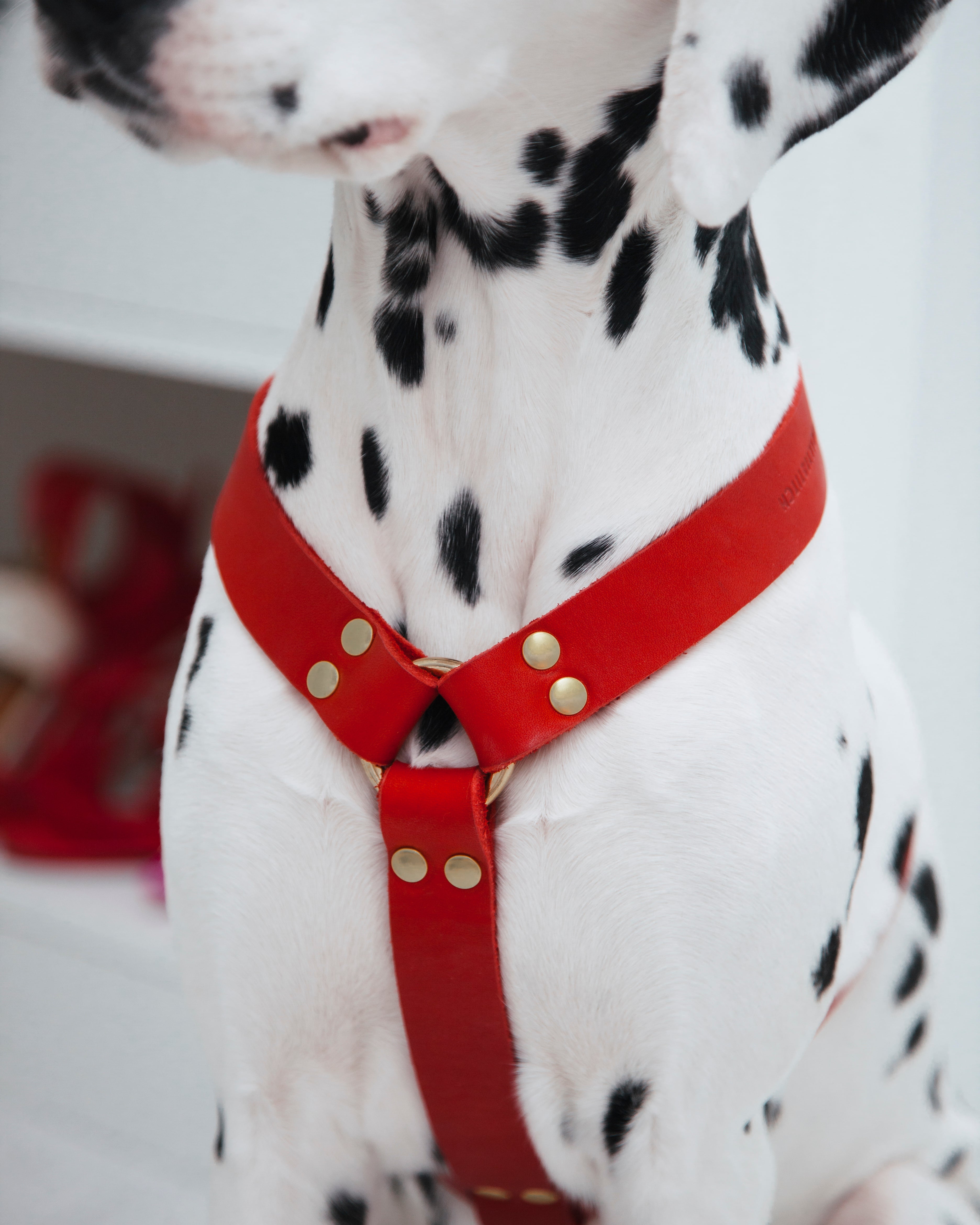 Butter Leather Y Harness - Chili Red