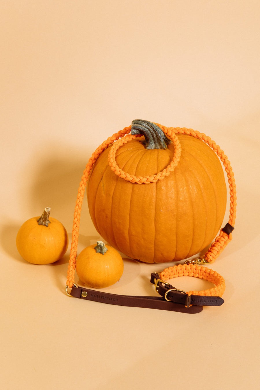 Halloween Shop