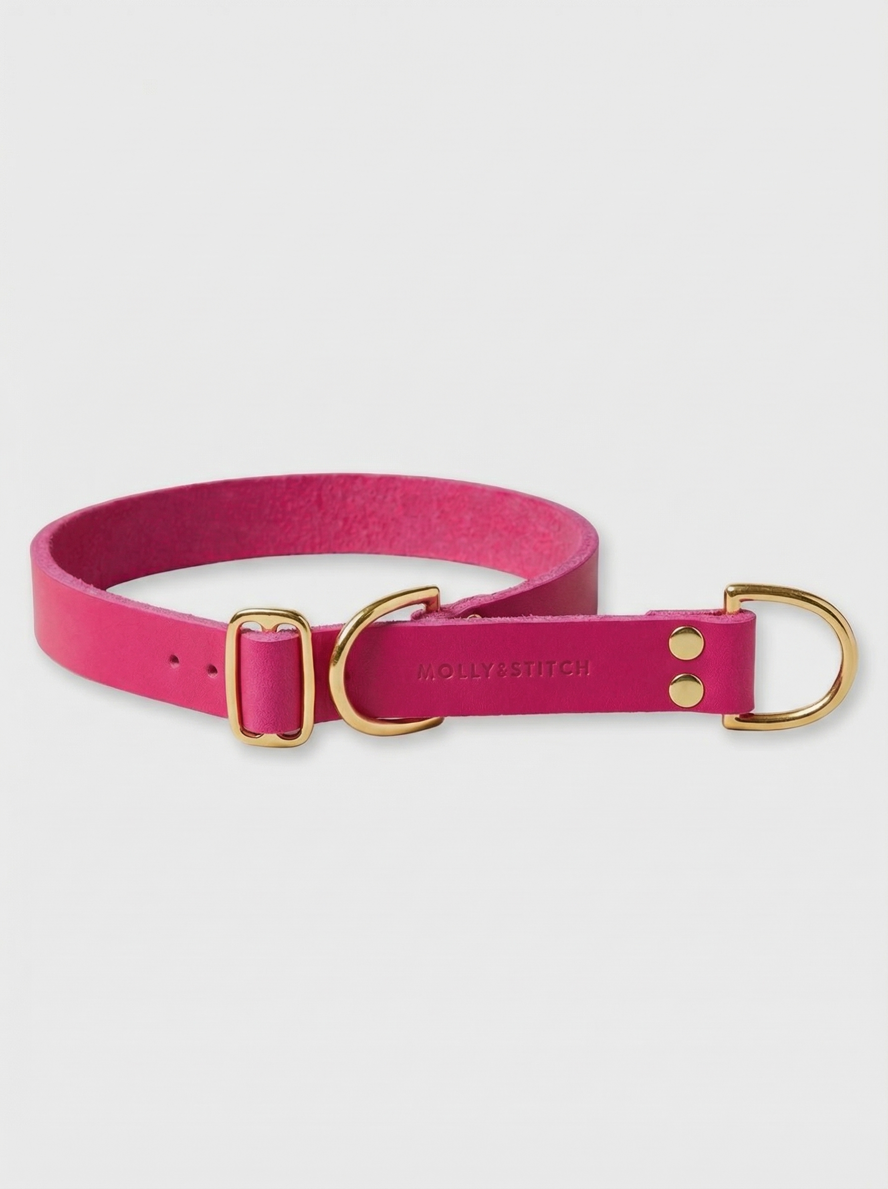 Butter Leather Retriever Dog Collar - Flamingo