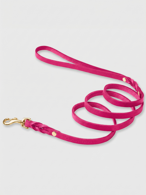 Butter Leather City Dog Leash - Flamingo