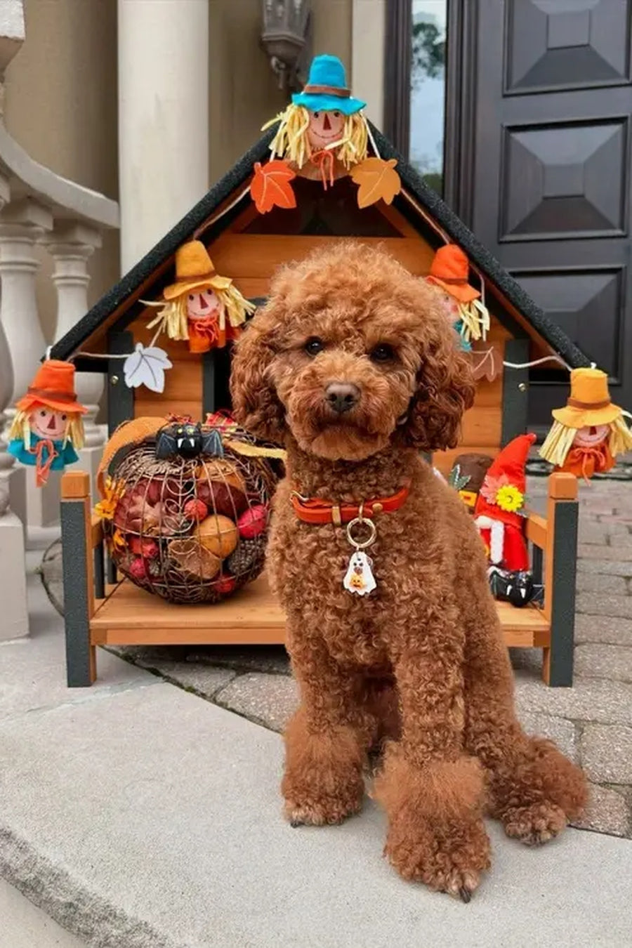 Halloween Shop