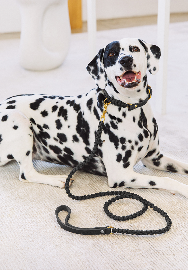 Touch of Leather Dog Leash - Nero