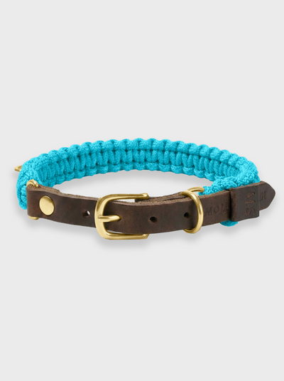 Touch of Leather Dog Collar - Santorini Blue