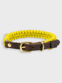 Touch of Leather Dog Collar - Mediterranean Sun