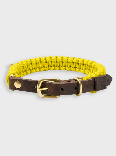 Touch of Leather Dog Collar - Mediterranean Sun