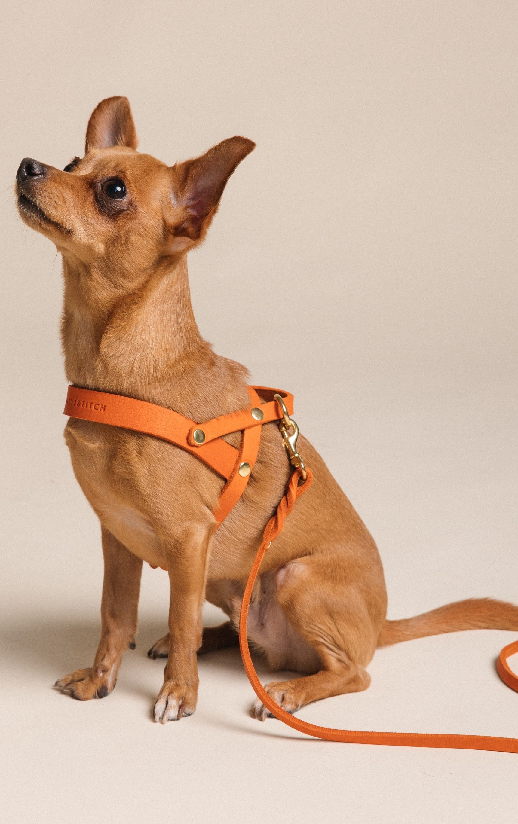 Butter Leather Dog Harness - Mango