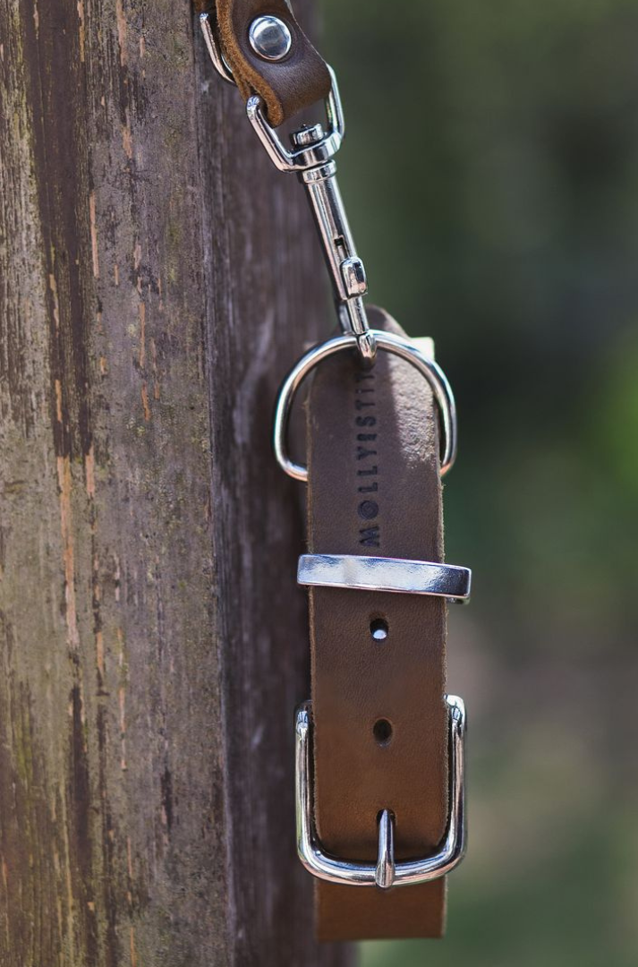 Scandinavian-inspired dog collar with buttery soft German leather and gleaming silver hardware