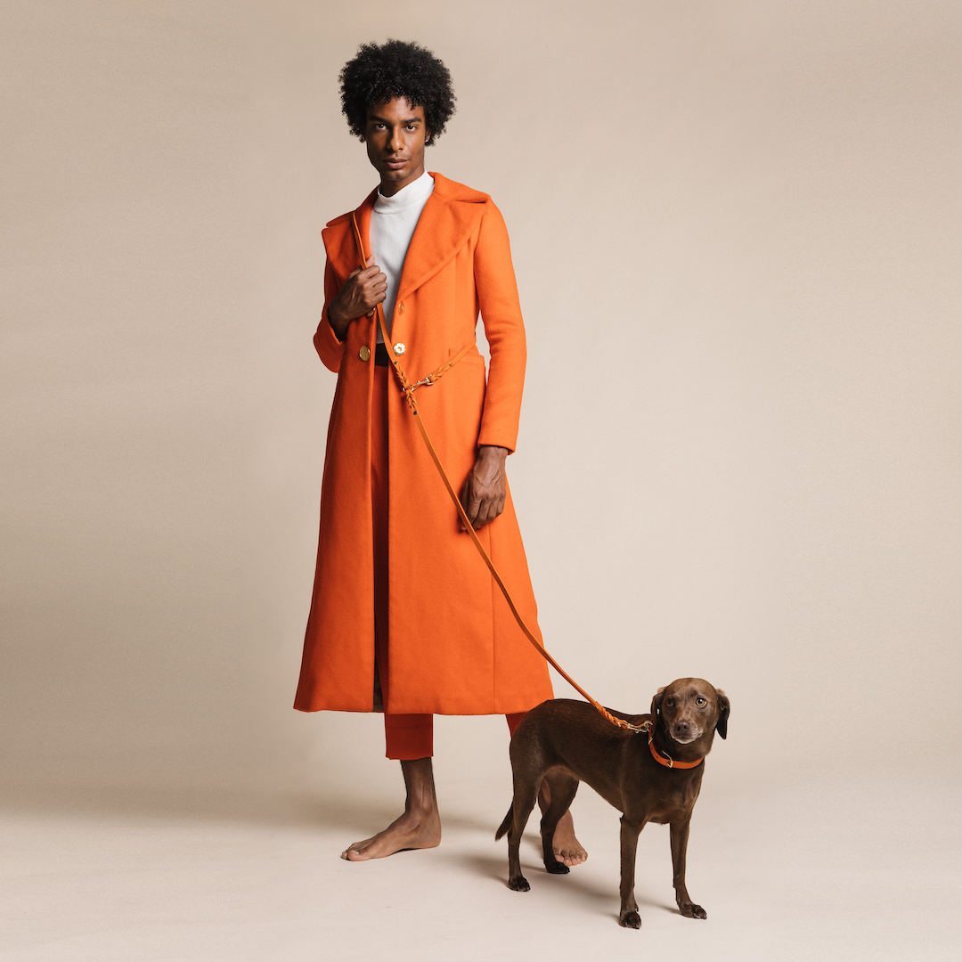 Elegant 6.5-foot dog leash made from genuine German leather and featuring steel hardware