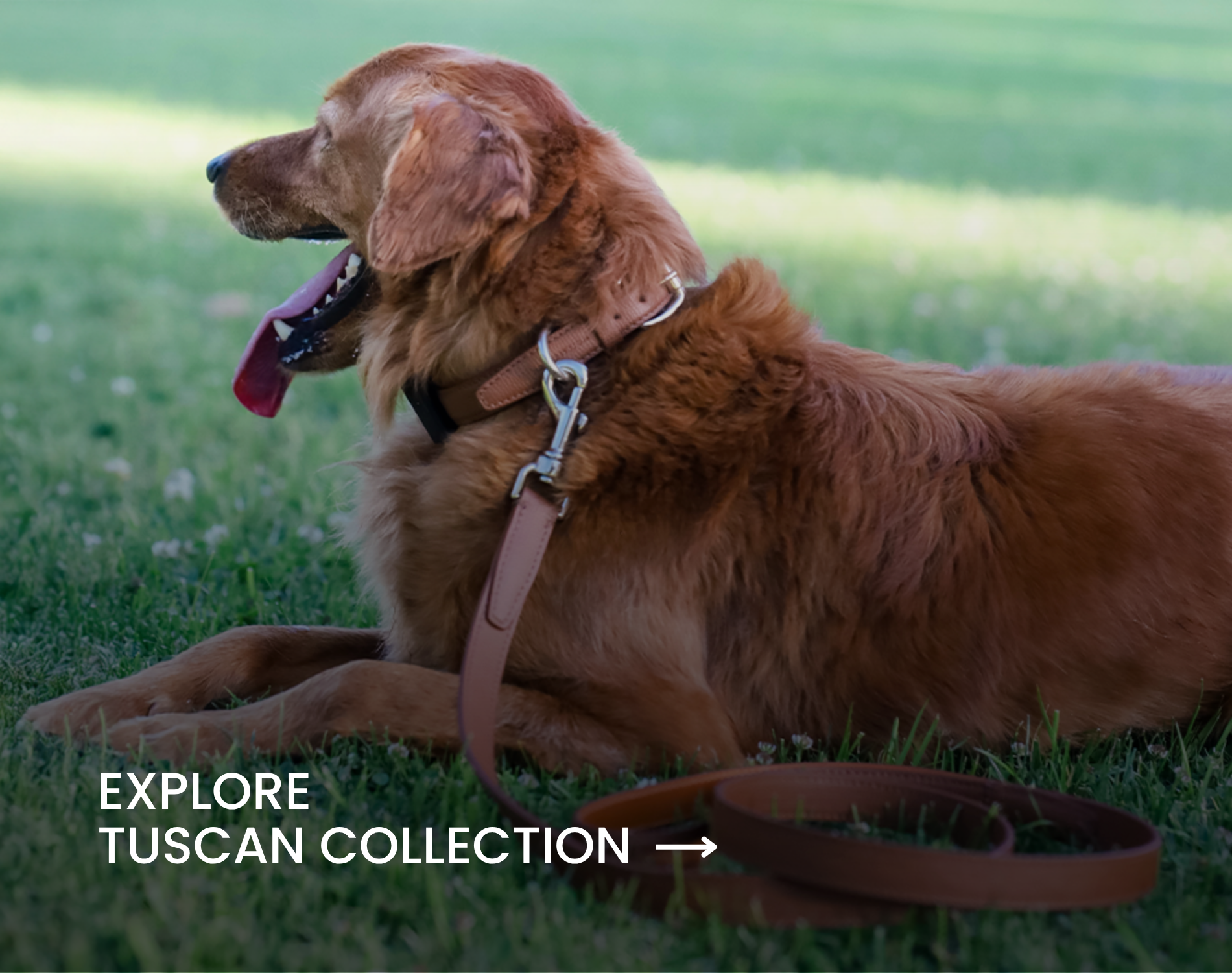 Explore Tuscan Collection