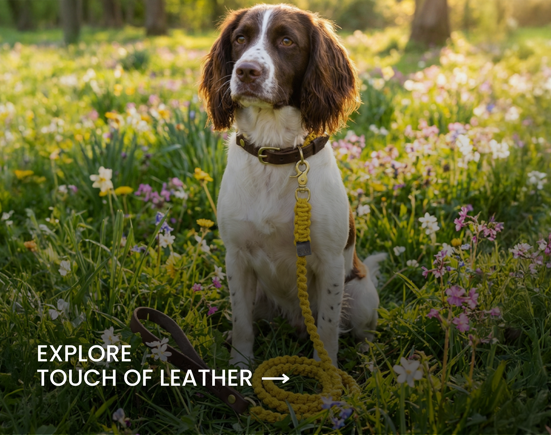 Explore Touch of Leather